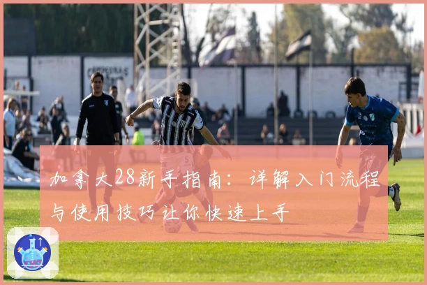 加拿大28新手指南：详解入门流程与使用技巧让你快速上手