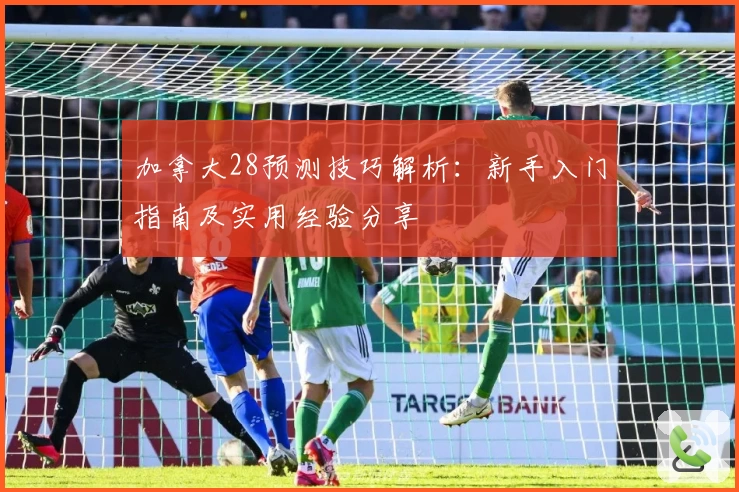 加拿大28预测技巧解析：新手入门指南及实用经验分享