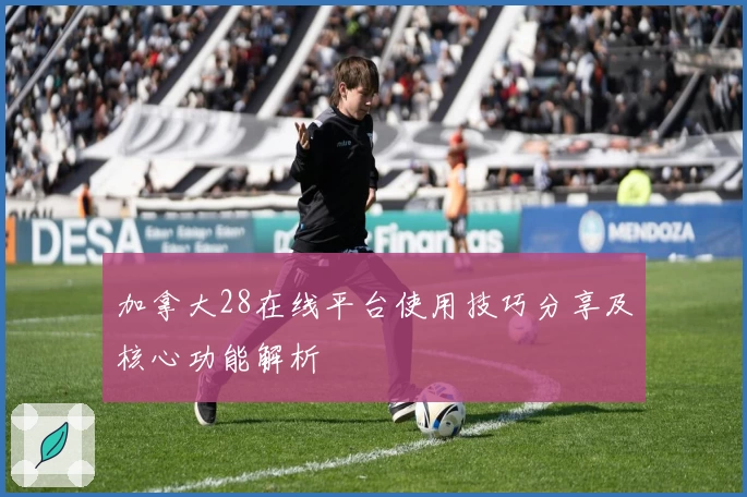 加拿大28在线平台使用技巧分享及核心功能解析