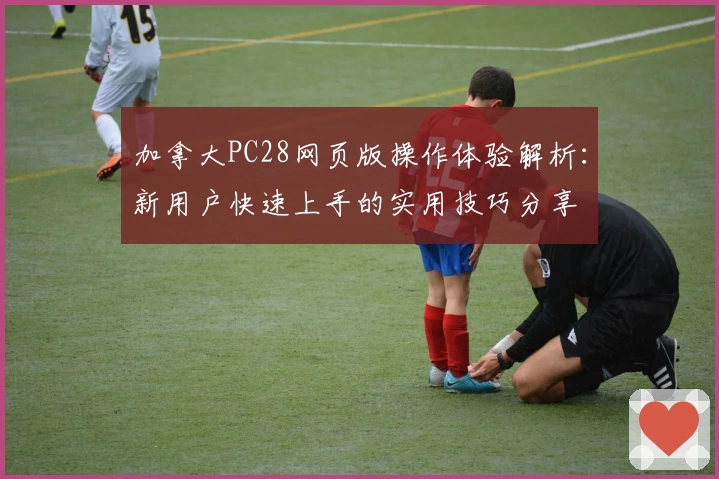 加拿大PC28网页版操作体验解析：新用户快速上手的实用技巧分享