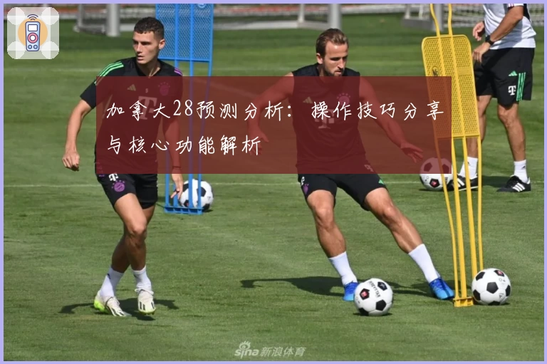 加拿大28预测分析：操作技巧分享与核心功能解析