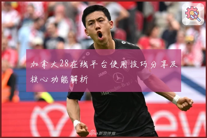 加拿大28在线平台使用技巧分享及核心功能解析
