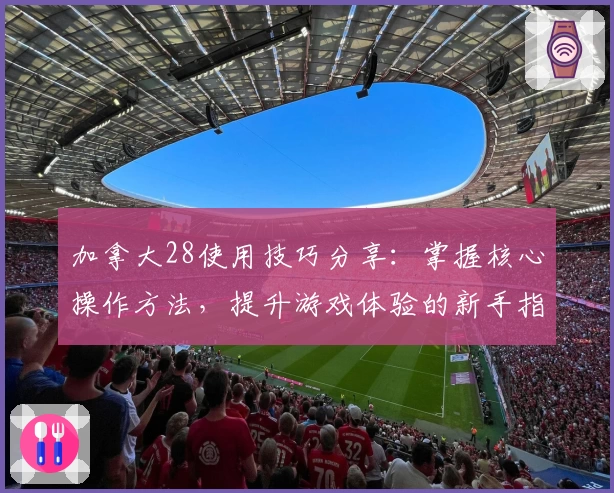 加拿大28使用技巧分享：掌握核心操作方法，提升游戏体验的新手指南