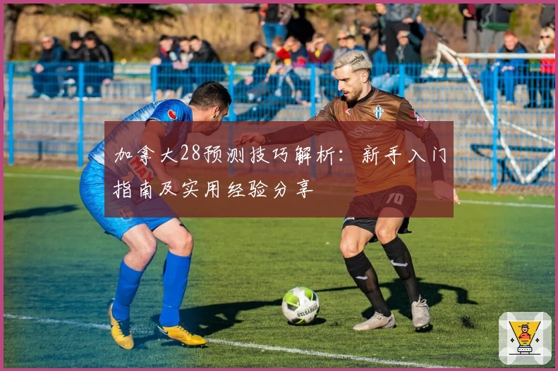 加拿大28预测技巧解析：新手入门指南及实用经验分享