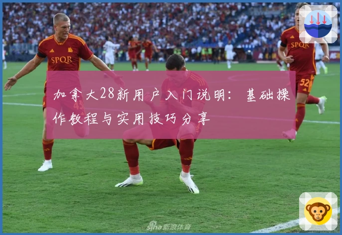 加拿大28新用户入门说明：基础操作教程与实用技巧分享